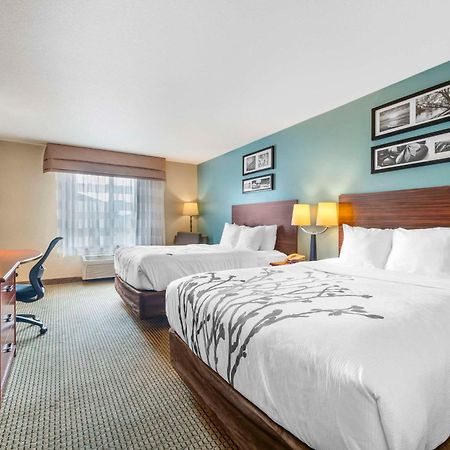 רפיד סיטי Sleep Inn & Suites מראה חיצוני תמונה