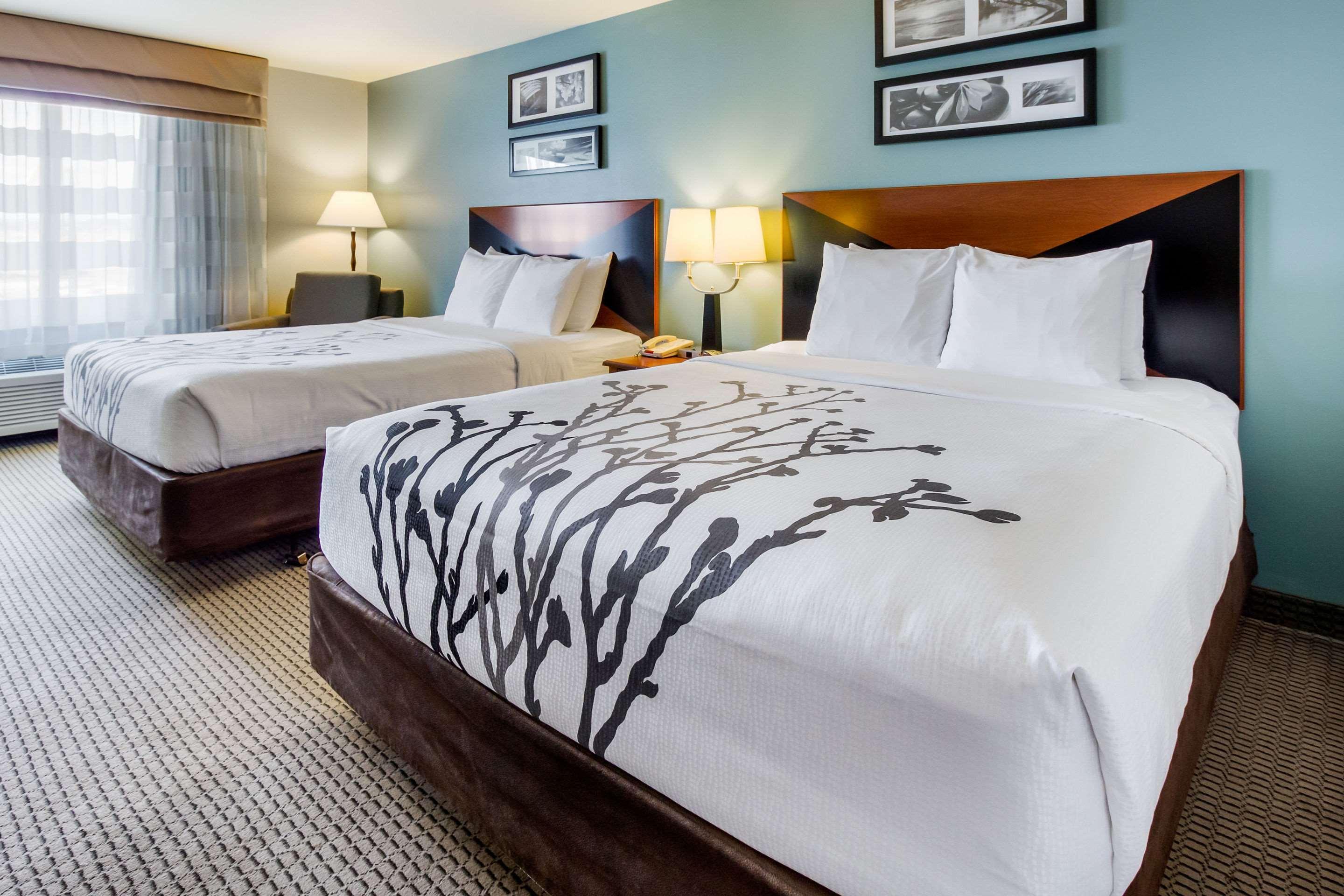 רפיד סיטי Sleep Inn & Suites מראה חיצוני תמונה