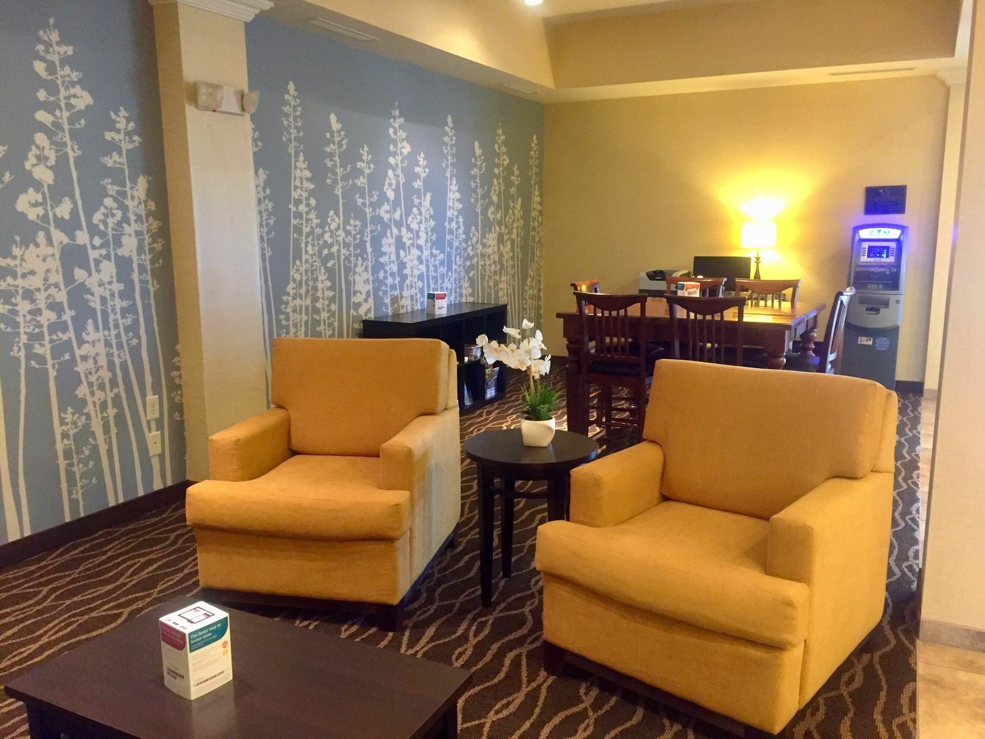 רפיד סיטי Sleep Inn & Suites מראה חיצוני תמונה