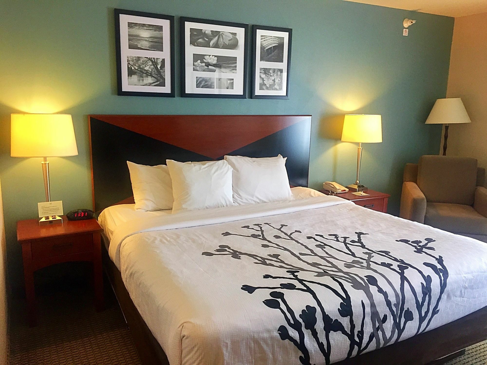 רפיד סיטי Sleep Inn & Suites מראה חיצוני תמונה