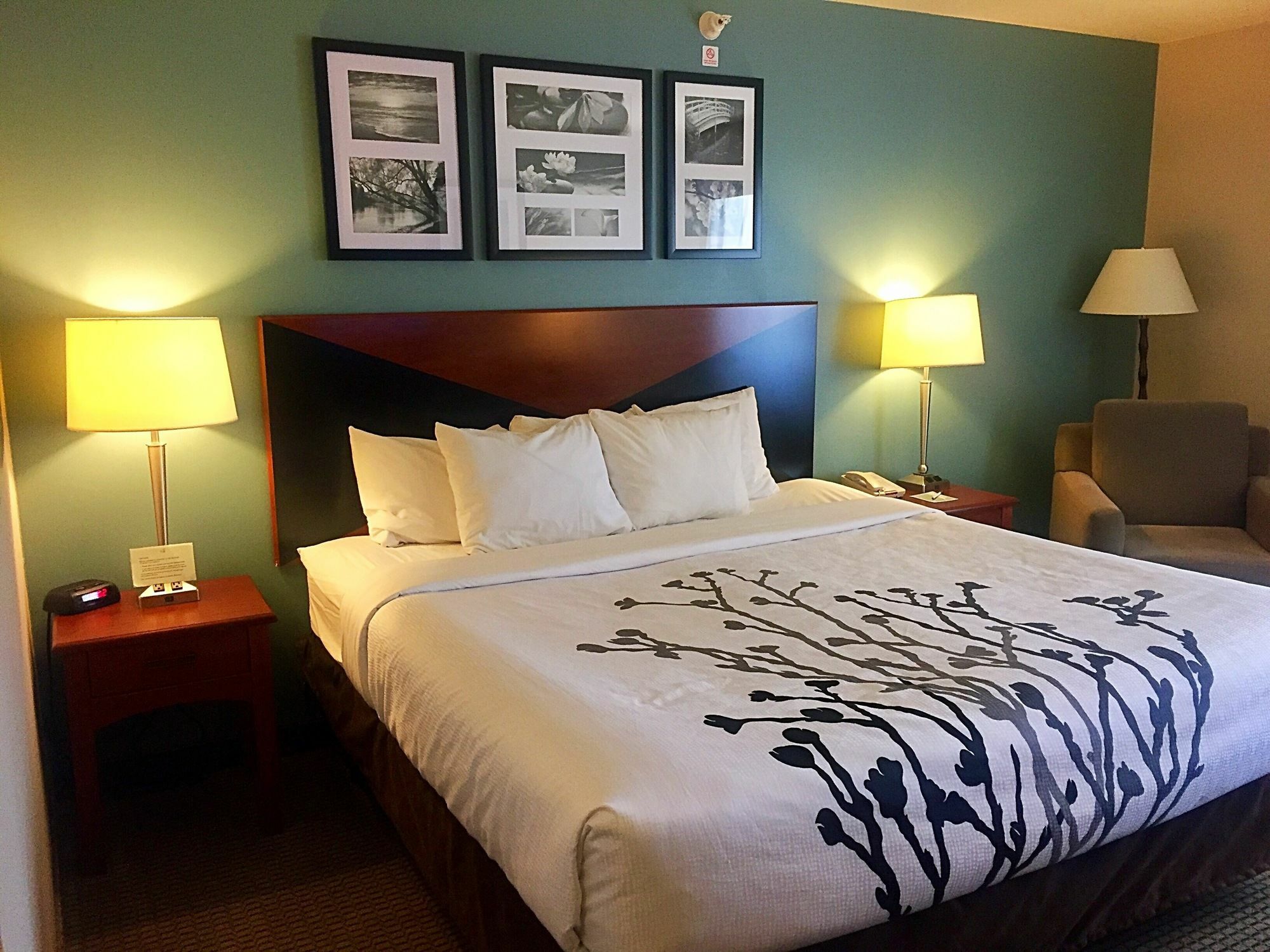 רפיד סיטי Sleep Inn & Suites מראה חיצוני תמונה