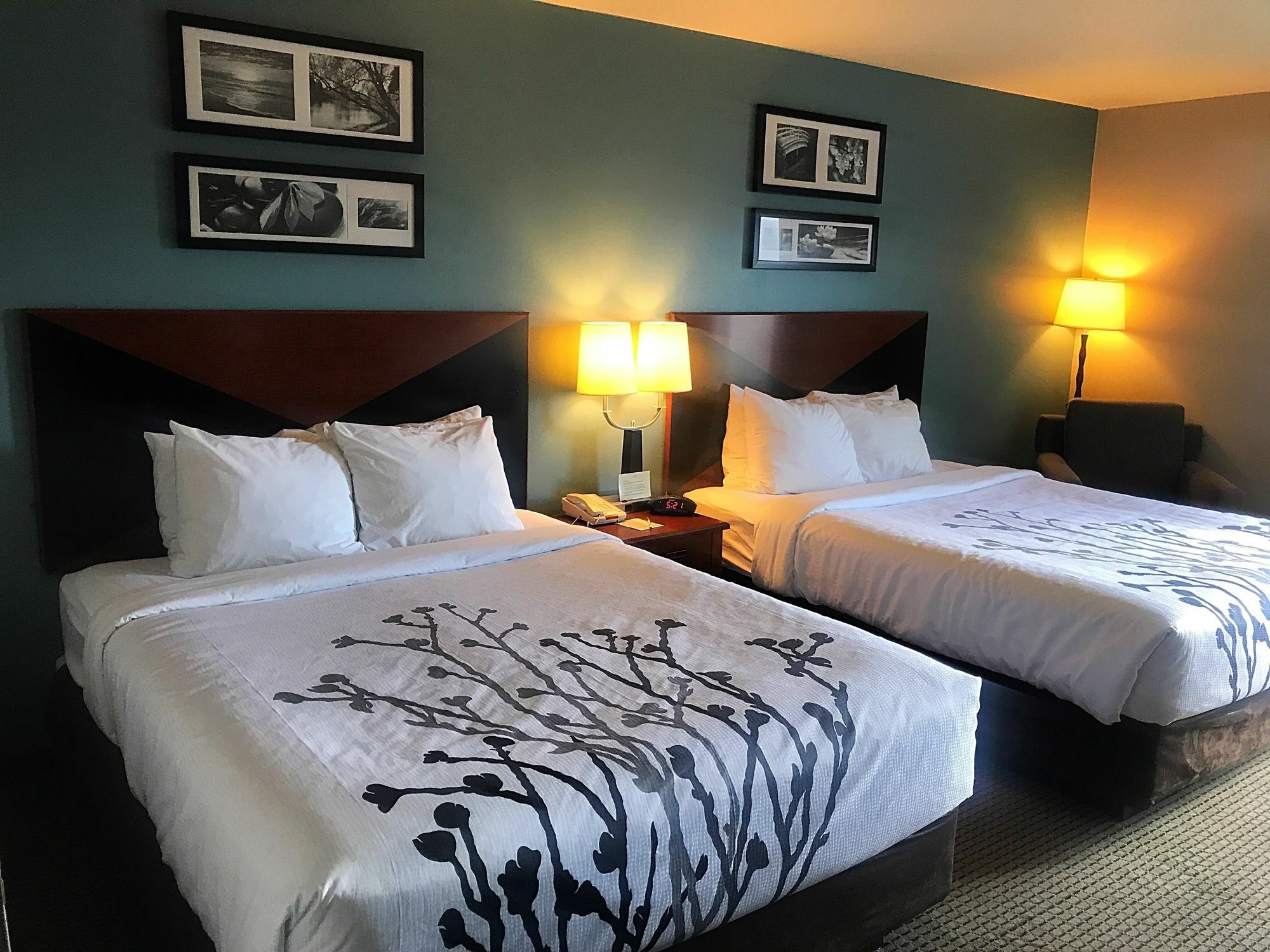 רפיד סיטי Sleep Inn & Suites מראה חיצוני תמונה